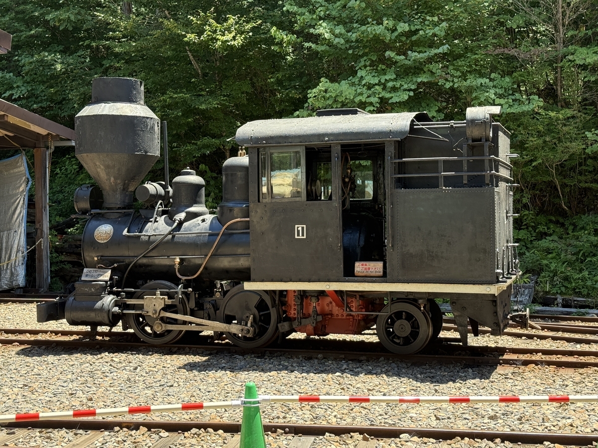 鉄道遺構】赤沢森林鉄道を訪ねて④ - 長都温泉の鉄道撮影記