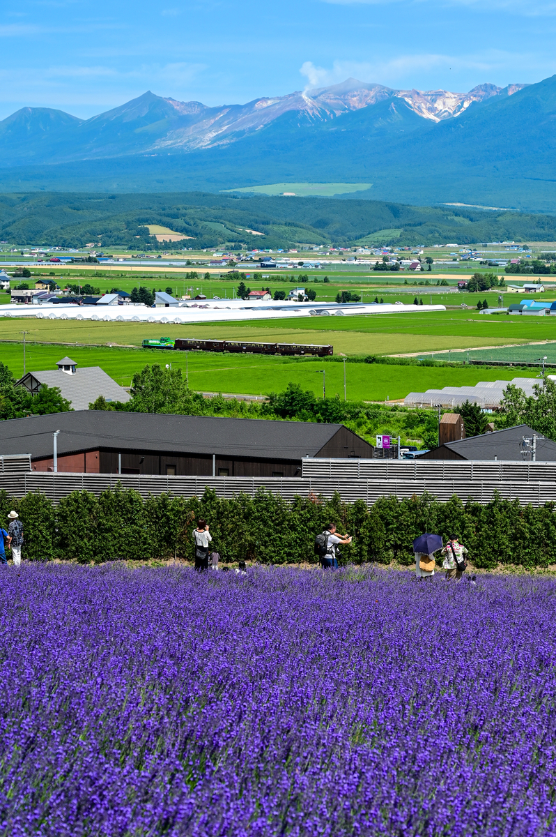 【稀少】2009年「北海道ラベンダー」・2005年「北海道オコジョ」根付セット bnr_furano_biei.jpg
