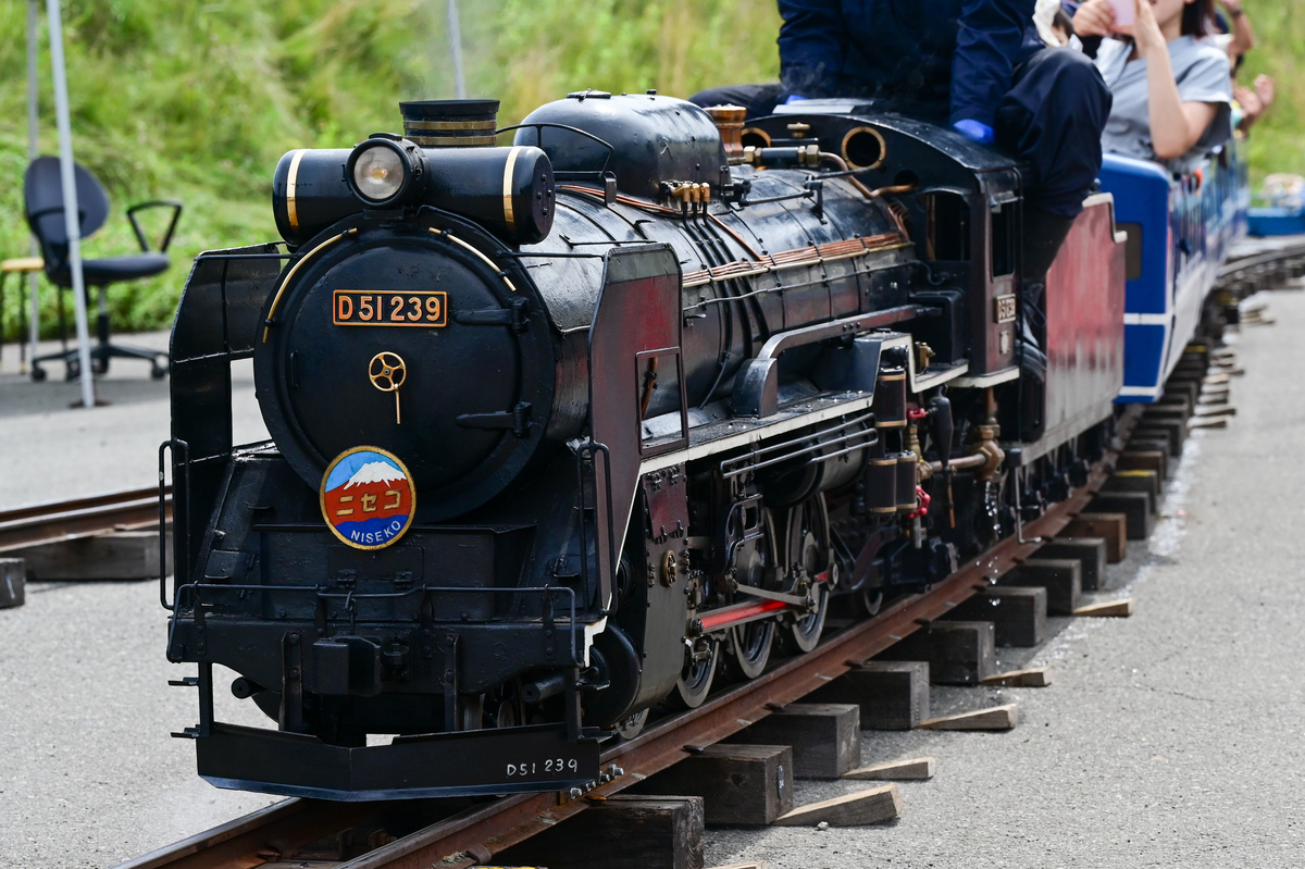 希少品【蒸気機関車 5室 汽笛 苗穂工場】国鉄 SL 鉄道 汽車 日本国有鉄道 国鉄苗穂工機部 汽笛ホーン SLホーン 鋳物 札幌 北20条店 Yahoo!オークション - 希少品【蒸気機関車 5室 汽笛 苗穂工場】国鉄 SL
