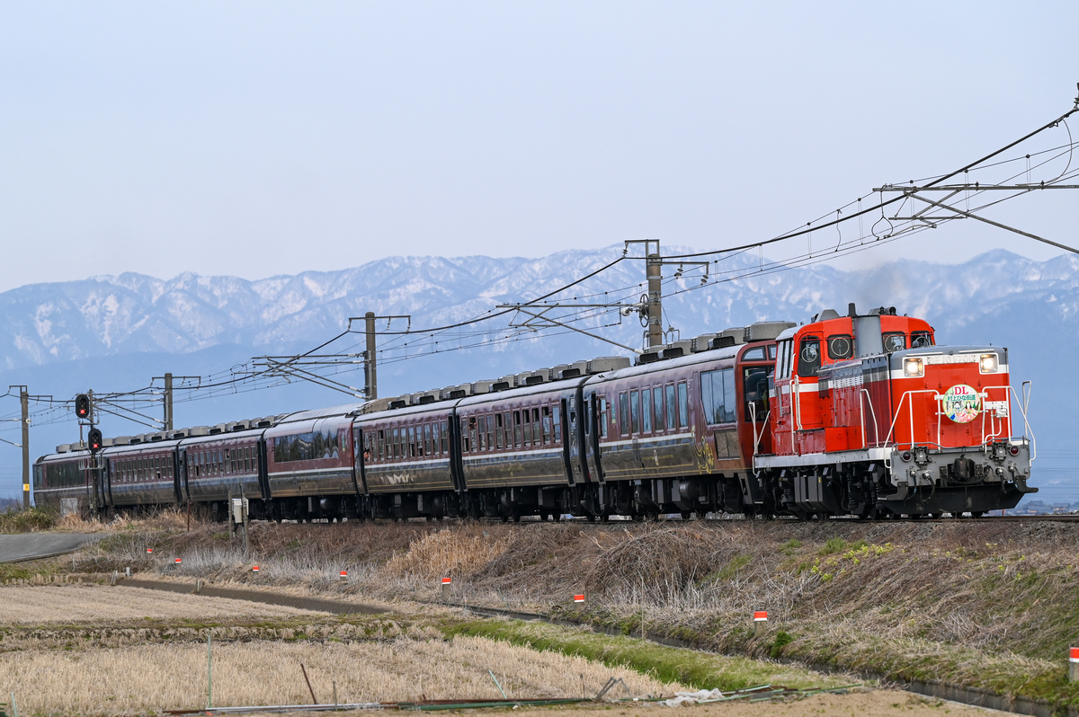 新潟遠征⑥】SL村上ひな街道号を追いかけて in2026 - 長都温泉の鉄道撮影記