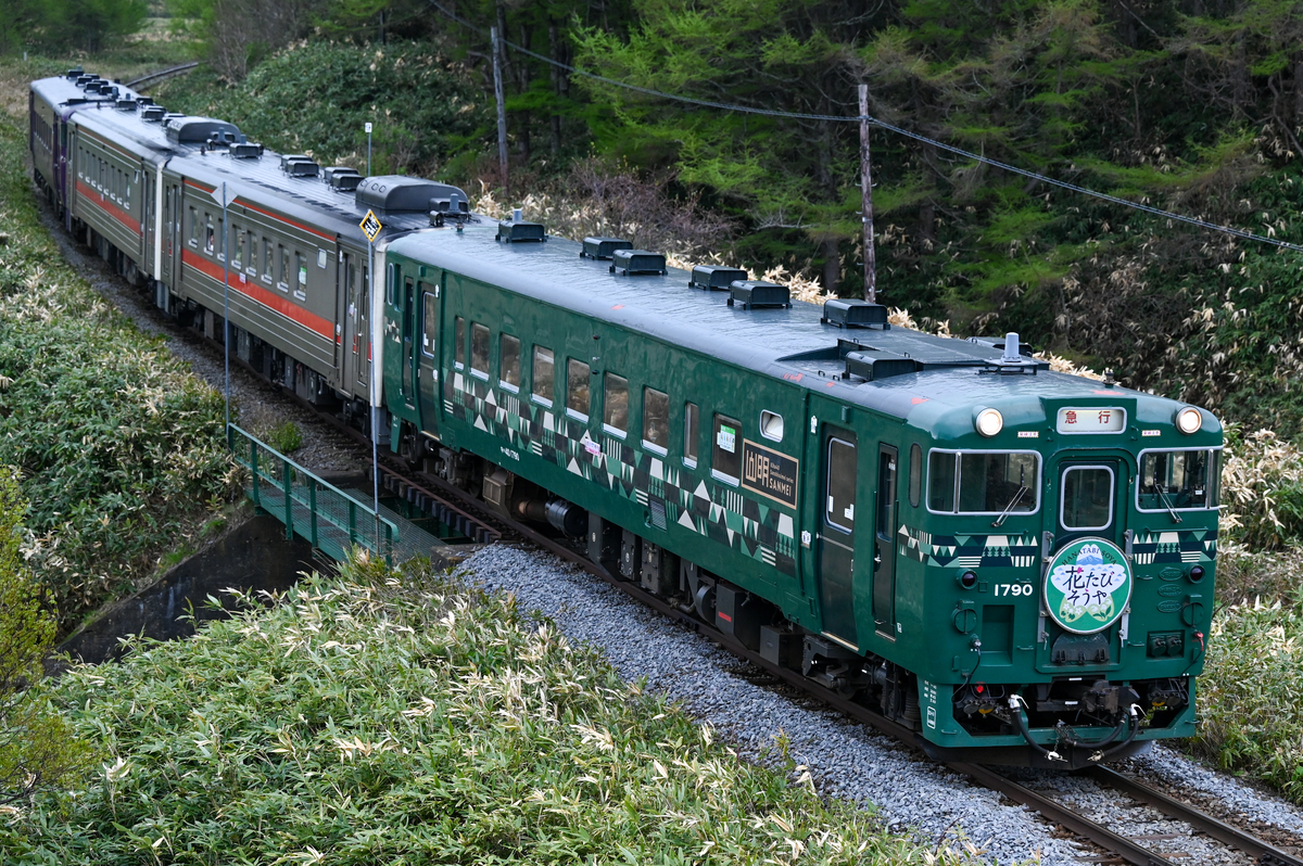 急行花たびそうや】新緑深まる道北をキハ40とキハ54が駆け抜ける