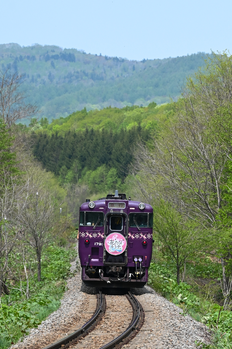北海道遠征②】急行花たびそうや号を追いかけて - 長都温泉の鉄道撮影記