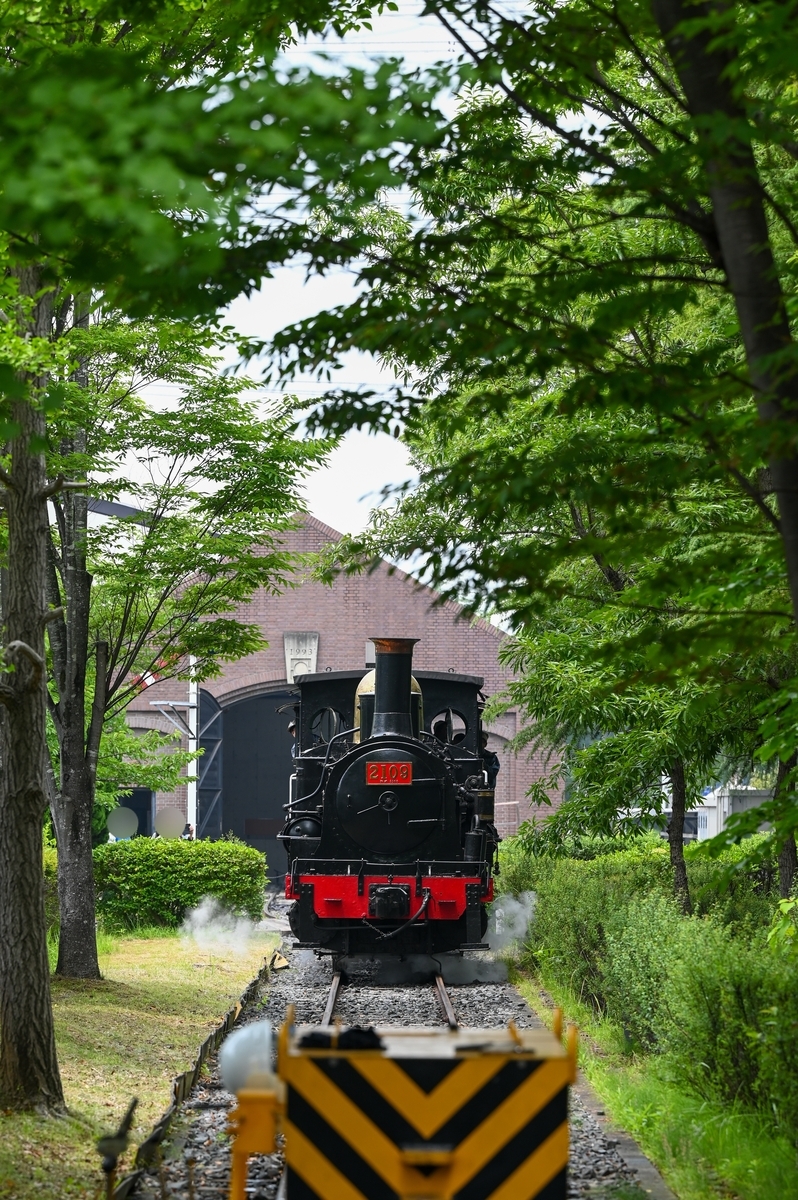 日本工業大学】2109形蒸気機関車を訪ねて in2026 - 長都温泉の鉄道撮影記