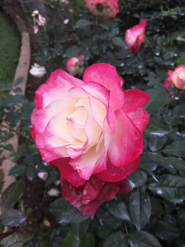f:id:OSO:20180311005515j:plain f:id:OSO:20180311005515j:plain