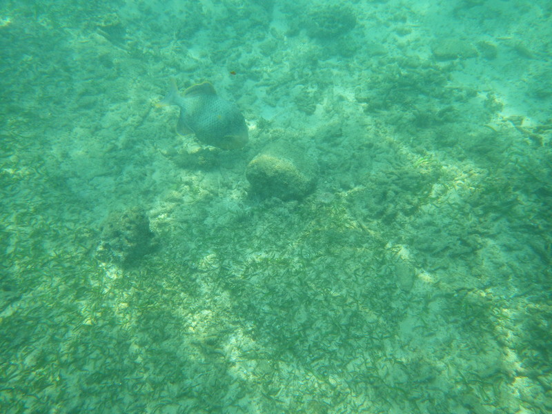 f:id:OSO:20180312203857j:plain f:id:OSO:20180312203857j:plain