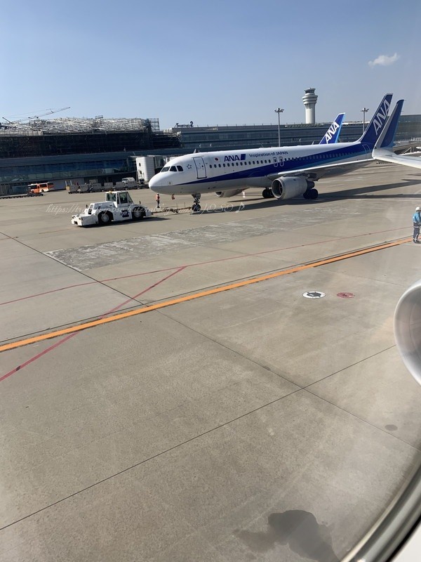 f:id:OSO:20190129214205j:plain f:id:OSO:20190129214205j:plain