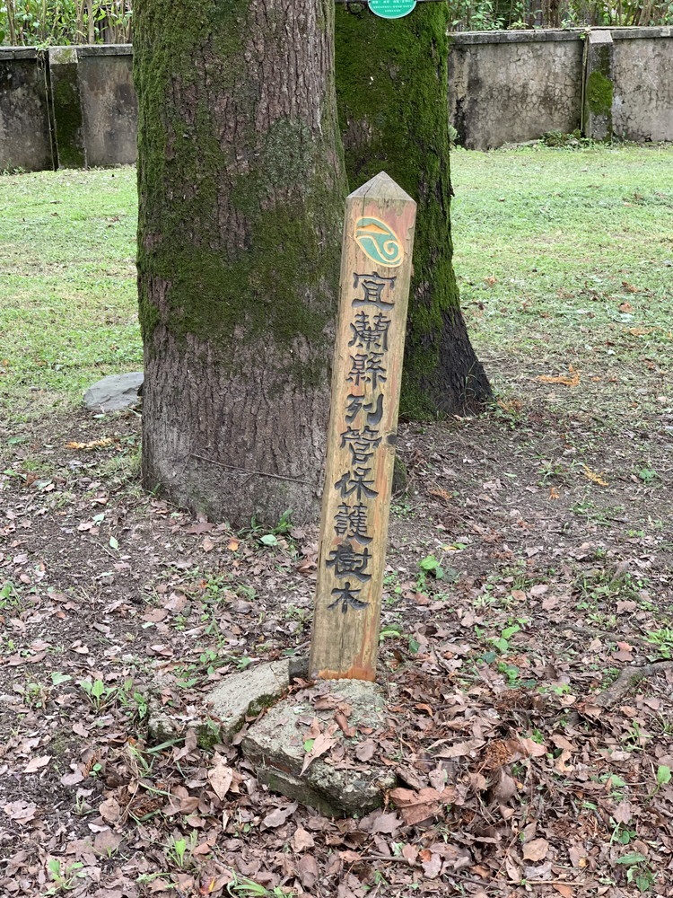 f:id:OSO:20190606130615j:plain f:id:OSO:20190606130615j:plain