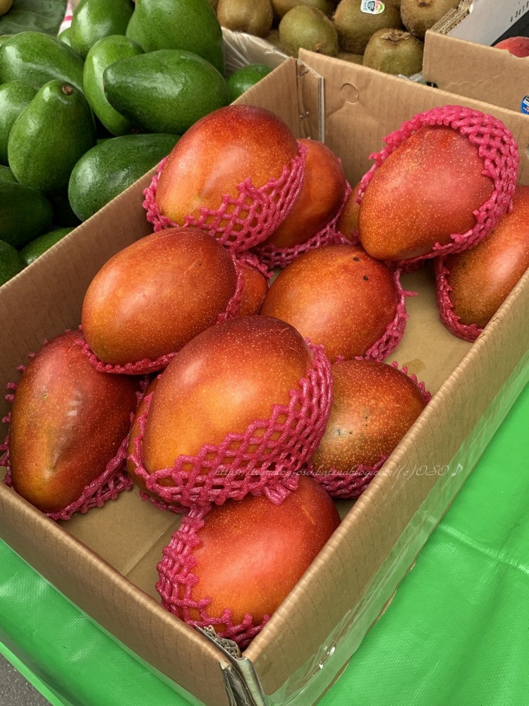 f:id:OSO:20190607230331j:plain f:id:OSO:20190607230331j:plain
