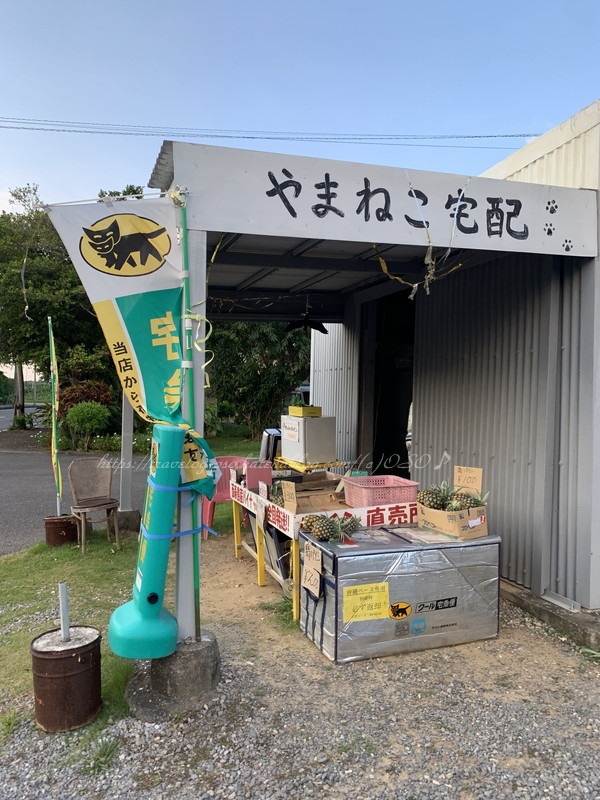 f:id:OSO:20190718181042j:plain f:id:OSO:20190718181042j:plain