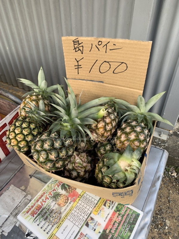 f:id:OSO:20190718181050j:plain f:id:OSO:20190718181050j:plain