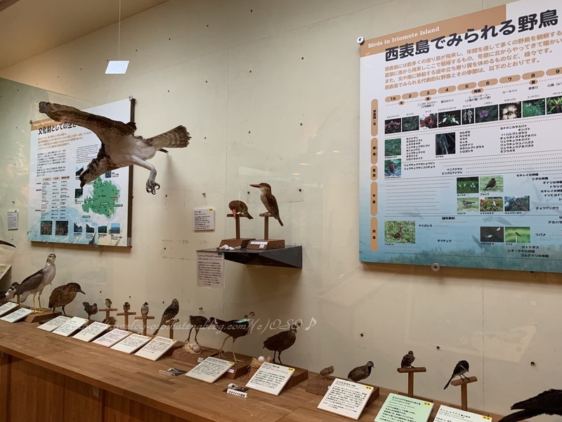 f:id:OSO:20190719222151j:plain f:id:OSO:20190719222151j:plain