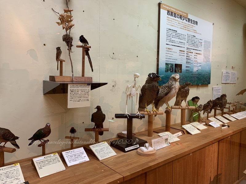 f:id:OSO:20190719222201j:plain f:id:OSO:20190719222201j:plain