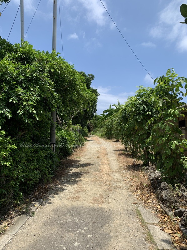 f:id:OSO:20190722184637j:plain f:id:OSO:20190722184637j:plain