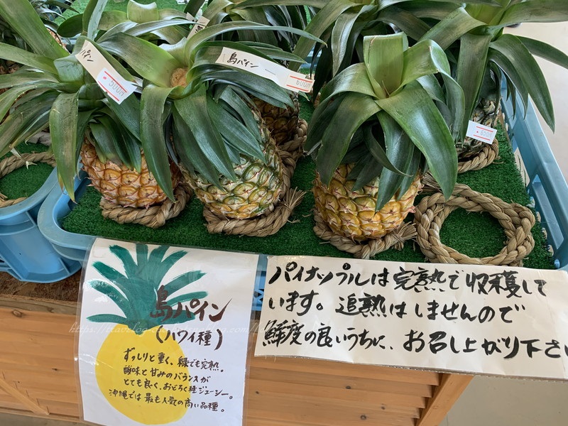 f:id:OSO:20190724210631j:plain f:id:OSO:20190724210631j:plain