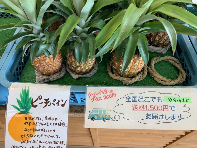 f:id:OSO:20190724210640j:plain f:id:OSO:20190724210640j:plain