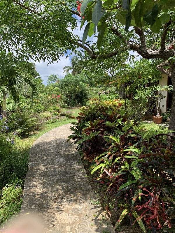f:id:OSO:20190724211639j:plain f:id:OSO:20190724211639j:plain