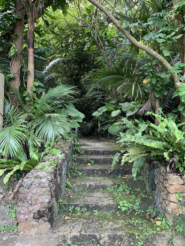 f:id:OSO:20190725203935j:plain f:id:OSO:20190725203935j:plain