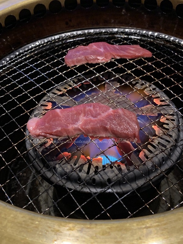 f:id:OSO:20190726222813j:plain f:id:OSO:20190726222813j:plain