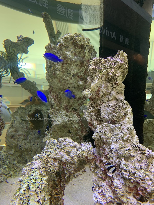 f:id:OSO:20190727224421j:plain f:id:OSO:20190727224421j:plain