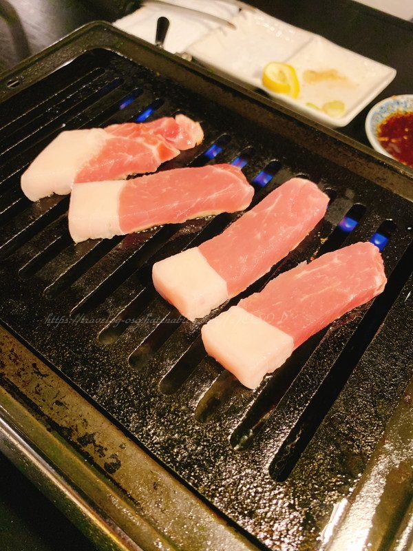 f:id:OSO:20191121155352j:plain f:id:OSO:20191121155352j:plain