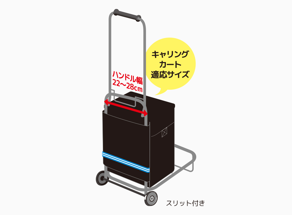 f:id:OSRcamper:20210114185855j:plain
