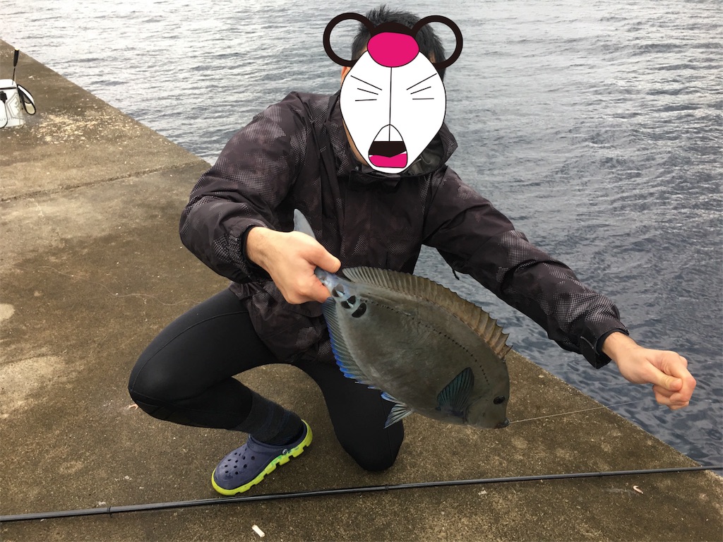 f:id:OTDkaneko:20170102115213j:image