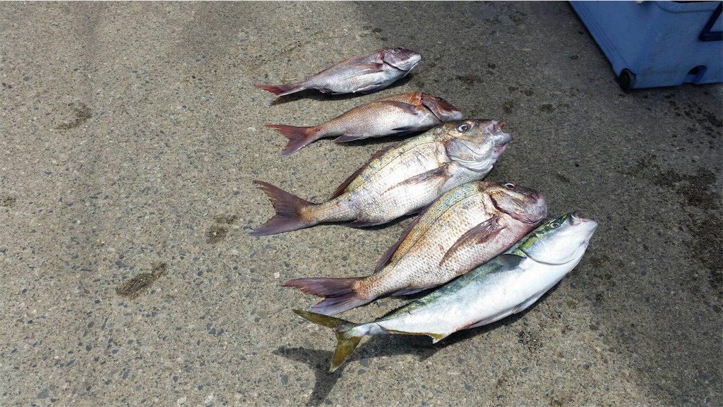 f:id:OTDkaneko:20170509134019j:image