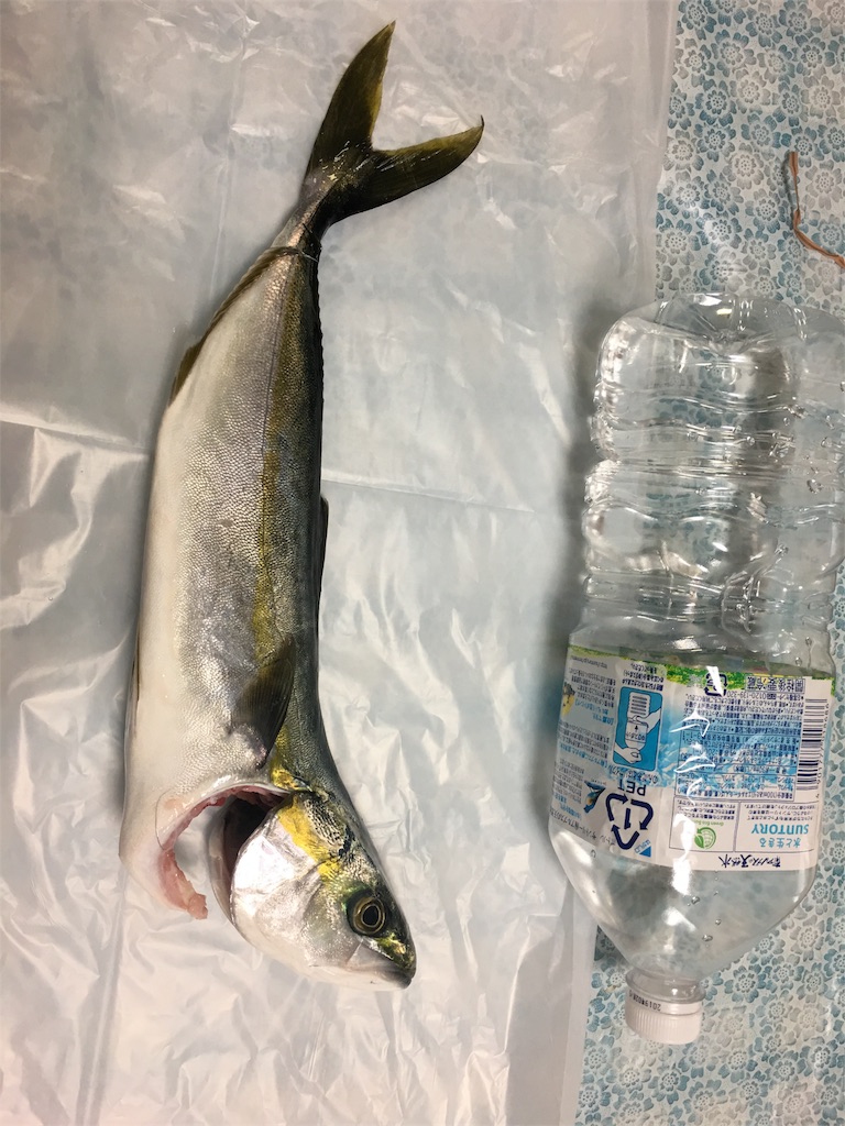 f:id:OTDkaneko:20170509220207j:image