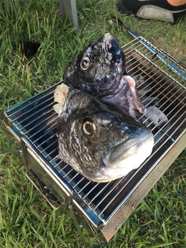 f:id:OTDkaneko:20170819092455j:image