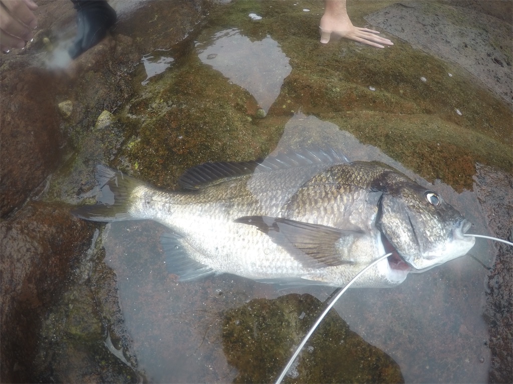 f:id:OTDkaneko:20170821085308j:image