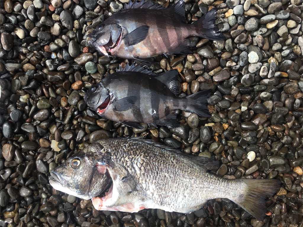 f:id:OTDkaneko:20170821085401j:image