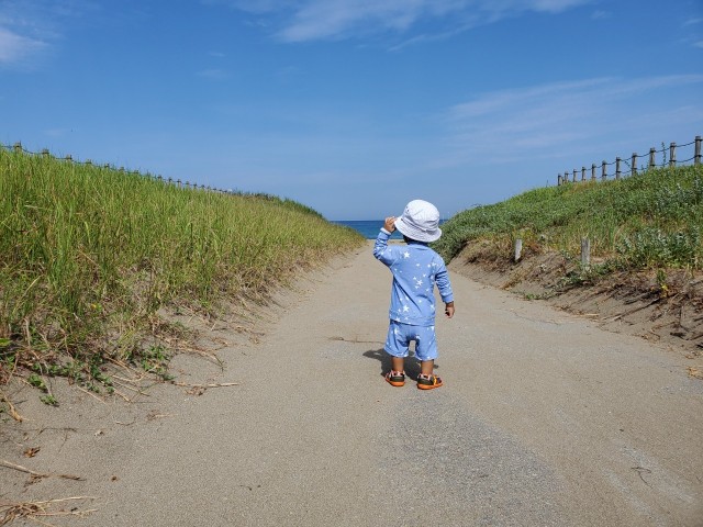 f:id:OTDkaneko:20190829131412j:image