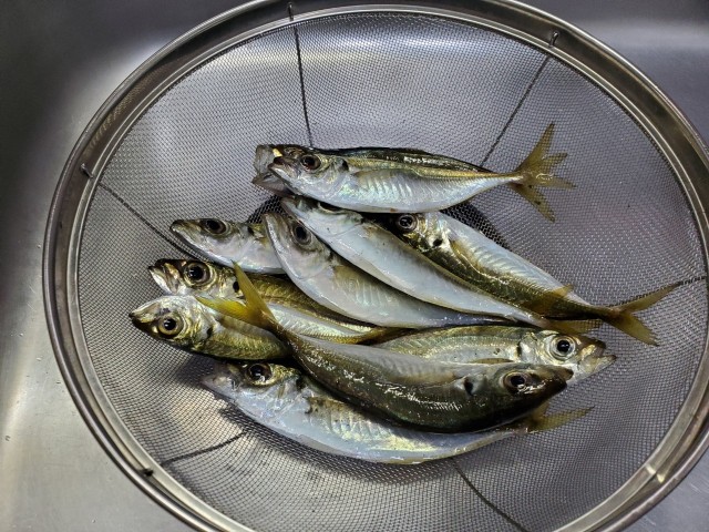 f:id:OTDkaneko:20190831221603j:image