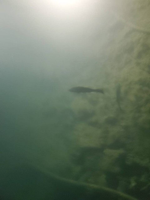 f:id:OTDkaneko:20190911162949j:image