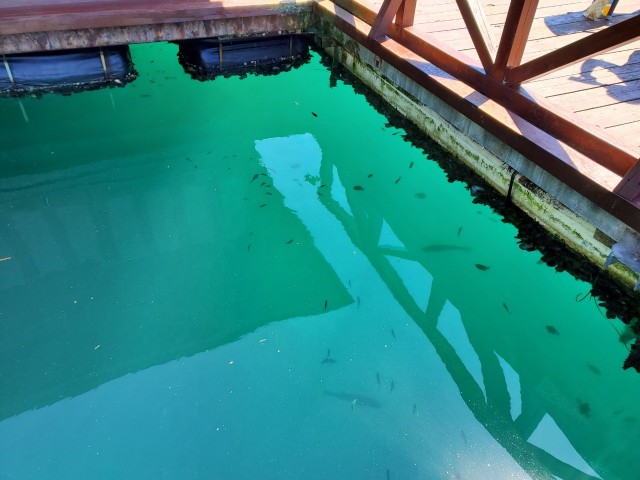 f:id:OTDkaneko:20190912195743j:image