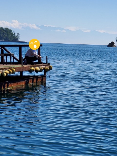 f:id:OTDkaneko:20190912200312j:image