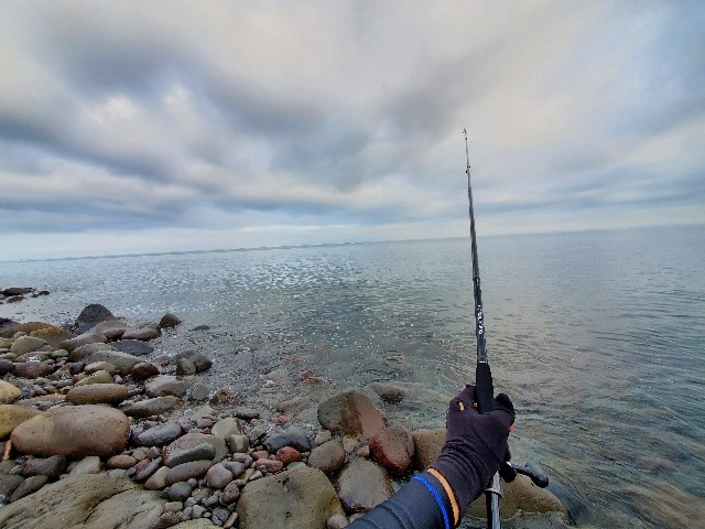 f:id:OTDkaneko:20200813152303j:image