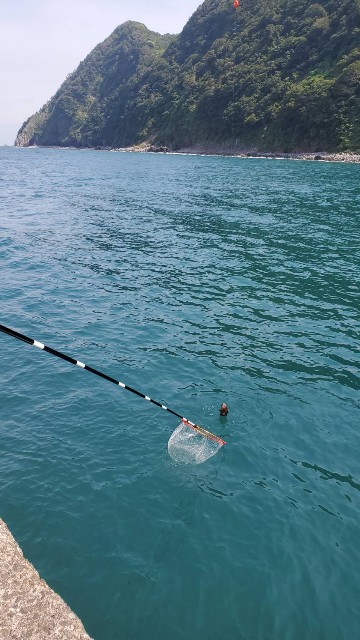 f:id:OTDkaneko:20200817001730j:image