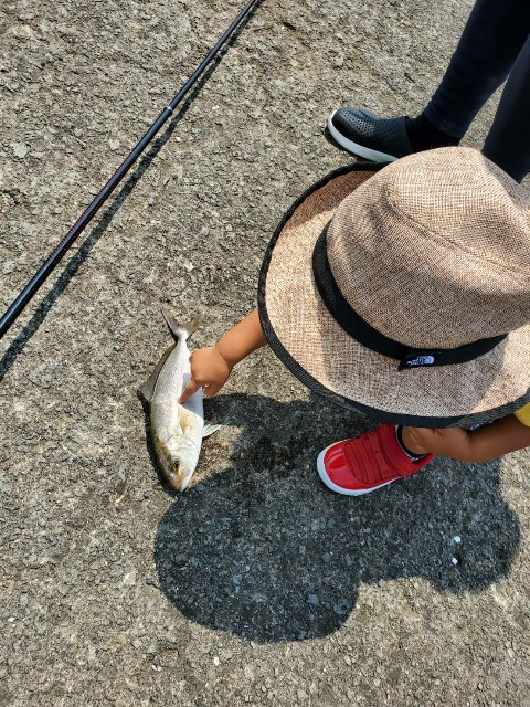 f:id:OTDkaneko:20200817001946j:image