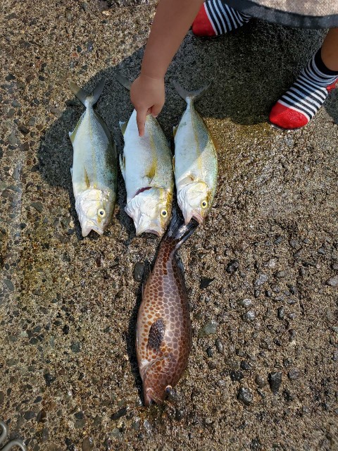 f:id:OTDkaneko:20200817002027j:image