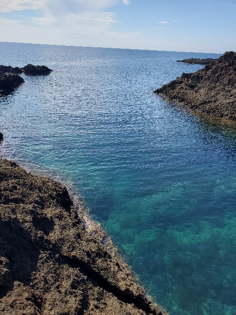 f:id:OTDkaneko:20200924092343j:image