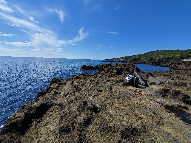 f:id:OTDkaneko:20200924092403j:image