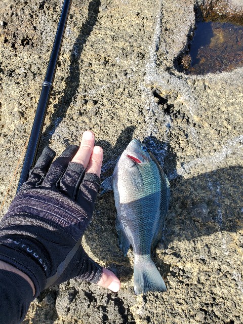 f:id:OTDkaneko:20200924092813j:image