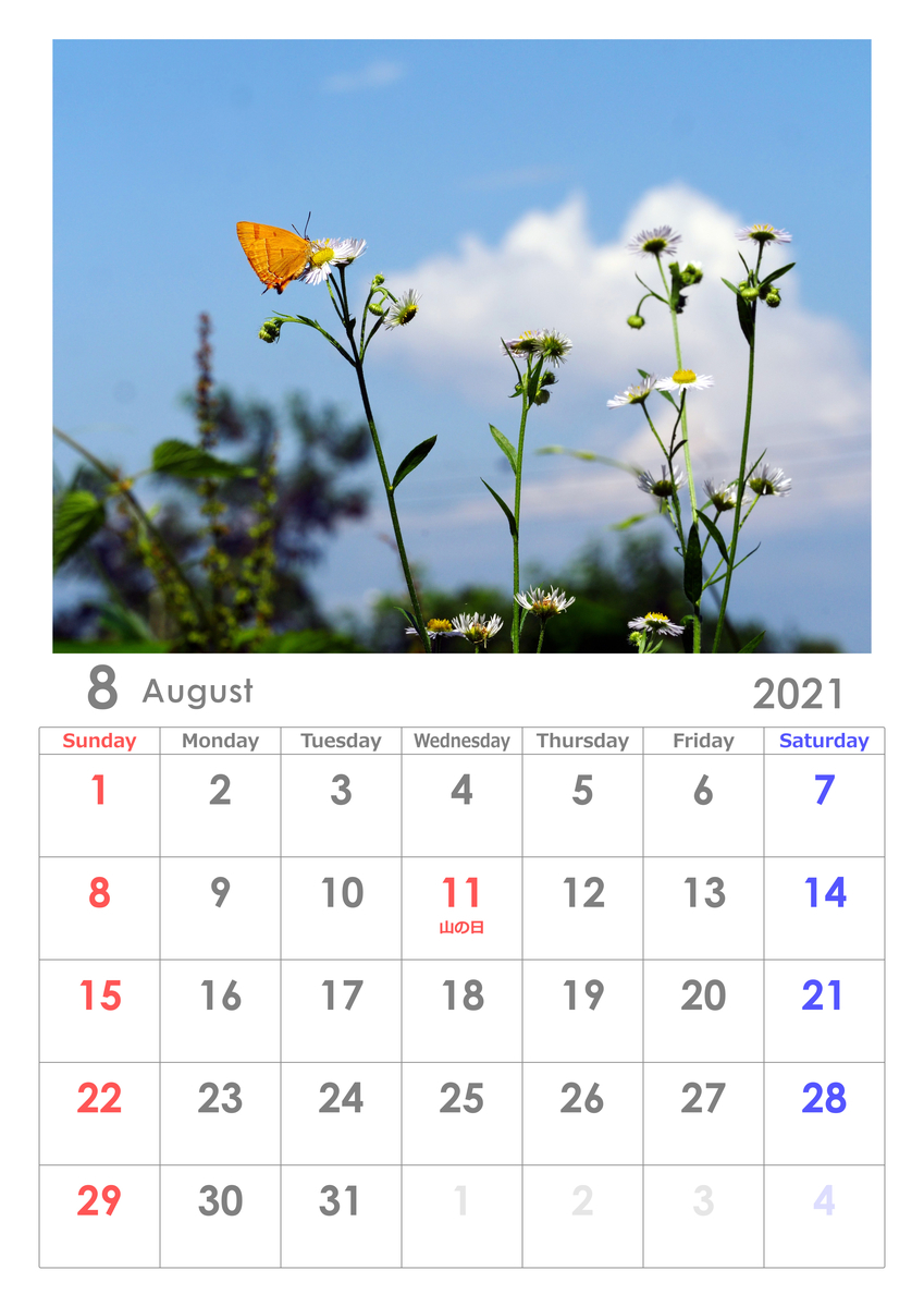 ２０２１年のカレンダー ８月 Ottoの蝶々ブログ