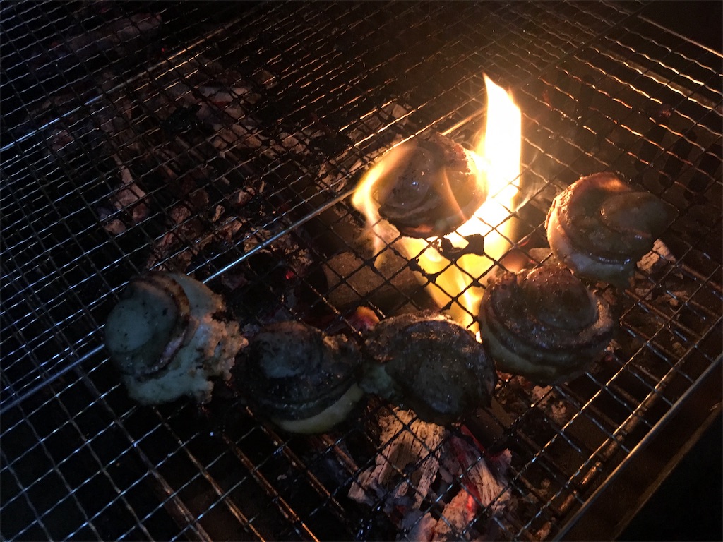f:id:OTYAOblog:20190507023944j:image f:id:OTYAOblog:20190507023944j:image