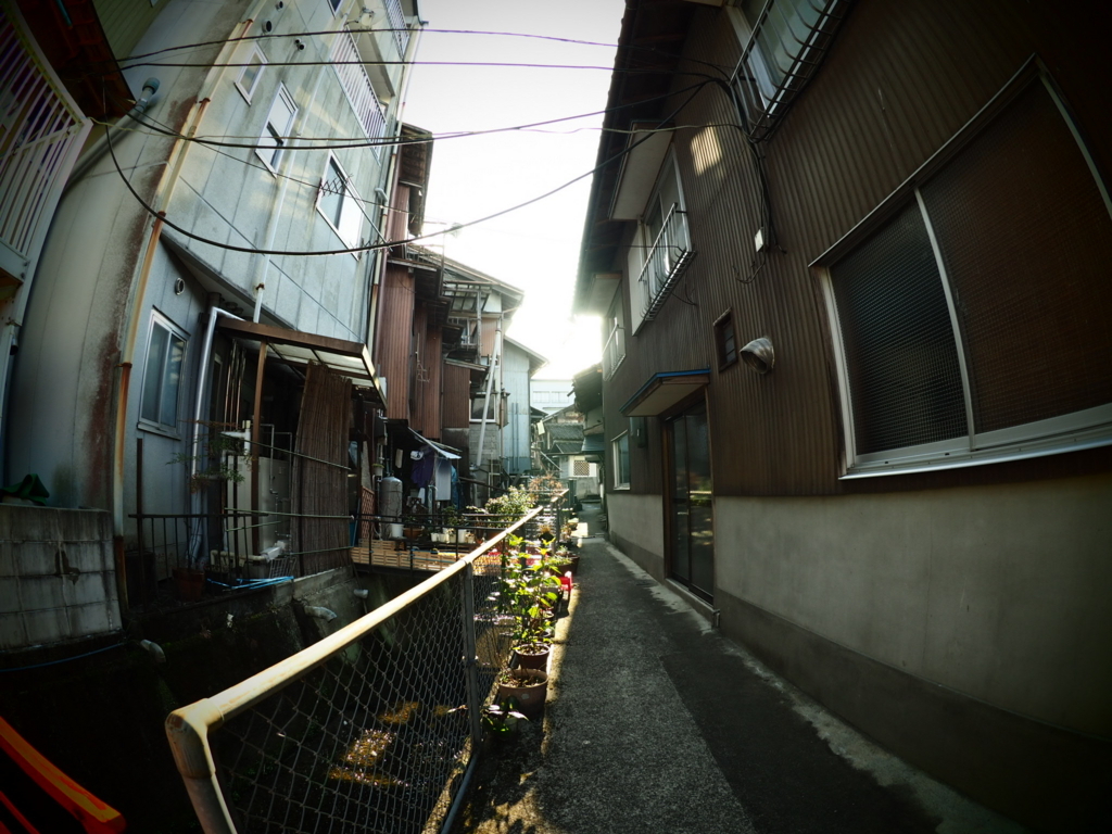 f:id:OUROBOROS:20180121235411j:plain f:id:OUROBOROS:20180121235411j:plain