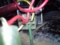 20120323184820