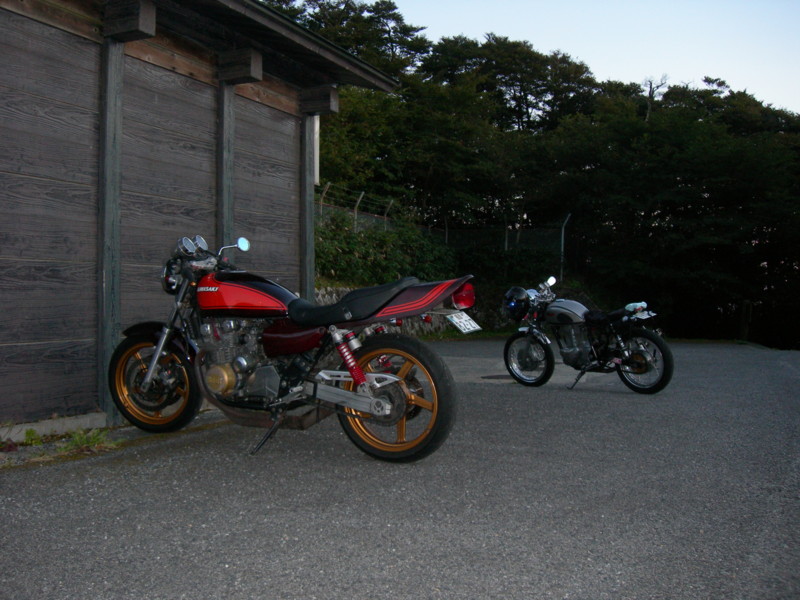 ゼファーをレイダウン - ア ル ト リ ネ コ