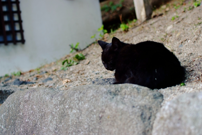 f:id:OWATA:20101029165821j:image