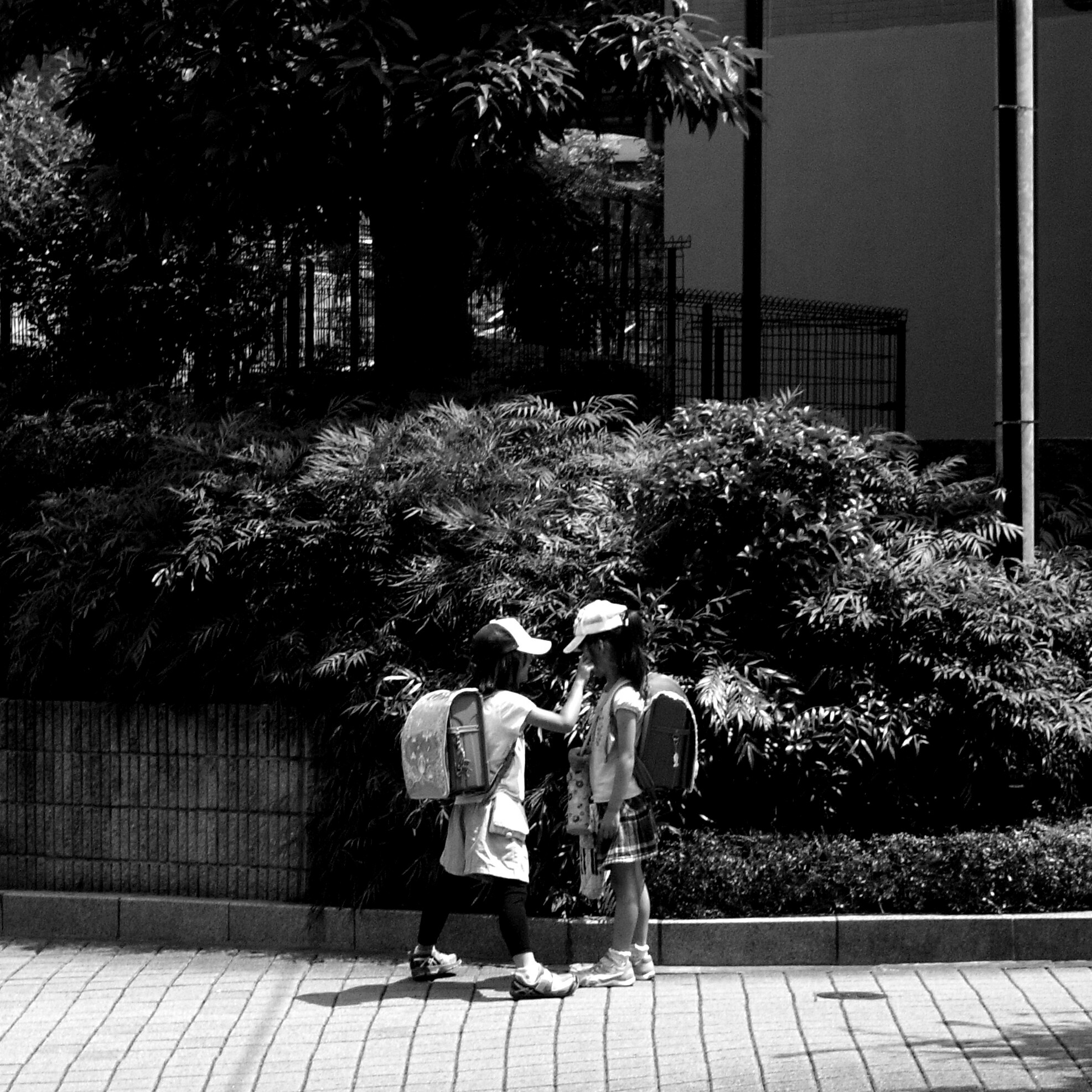 f:id:OZEKIKOKI:20170724214932j:image